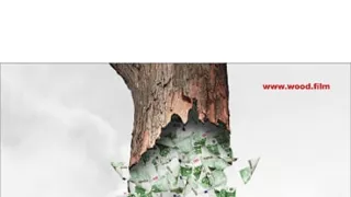 Nezákonná ťažba dreva - škandalózne odhalenie