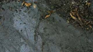 Kelti proti Rimanom (1/3)