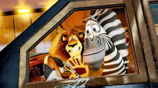 Madagaskar 3