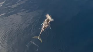 Planéta Kalifornia (1/2)