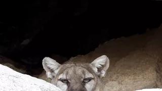 Planéta Kalifornia (1/2)