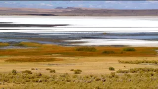 Planéta Kalifornia (1/2)