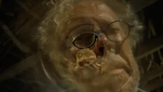 Myší akrobat v obilí