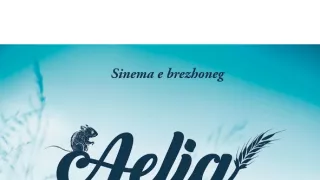 Myší akrobat v obilí