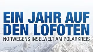 Rok na Lofotoch (1)