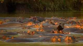 Kamera na cestách: Najzaujímavejšie mestá na svete (6/6)
