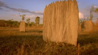 Budovatelia prírody (2/3)