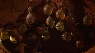 Budovatelia prírody (2/3)