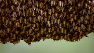 Budovatelia prírody (2/3)