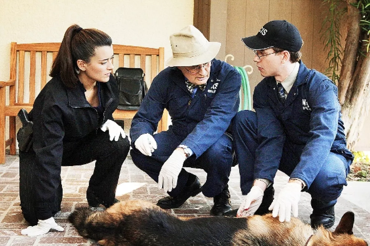 NCIS - Námorný vyšetrovací úrad, 2007 - fotogaléria