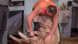 Nový Zéland - Severný ostrov