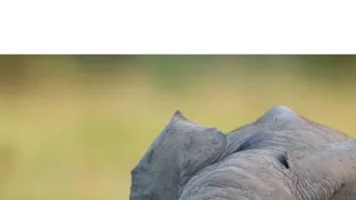 Skrytá království Afriky (3)