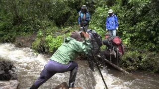 Kráľovstvo divočiny: Medveď okuliarnatý, Ekvádor