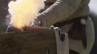 Hodvábnou cestou v ústrety svetu (1/3)