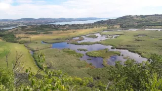 Jazero Balaton a jeho prírodné krásy