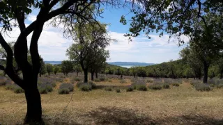 Jazero Balaton a jeho prírodné krásy