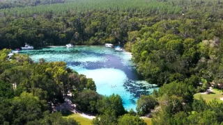 Kráľovstvo divočiny: Šťukovce, Spojené štáty