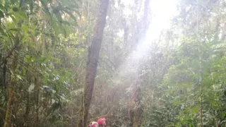 Madagaskar - ostrov duchov a kúziel