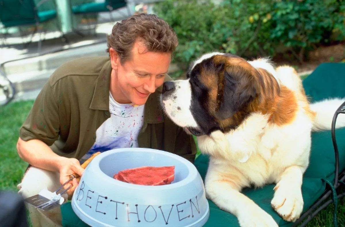 Beethoven 4 (Beethoven’s 4th), 2001 - fotogaléria