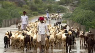 Človek ako súčasť prírody