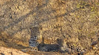 Človek ako súčasť prírody