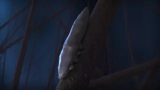 Človek ako súčasť prírody