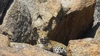 Človek ako súčasť prírody