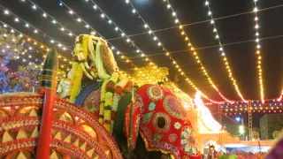 Človek ako súčasť prírody