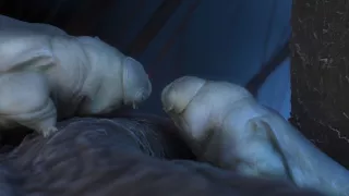 Človek ako súčasť prírody