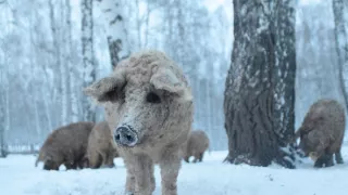 Človek ako súčasť prírody