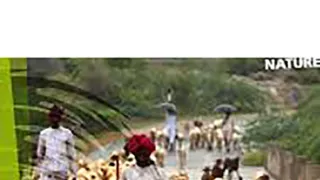 Človek ako súčasť prírody