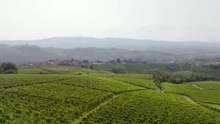 Milovníci vína (7/12)