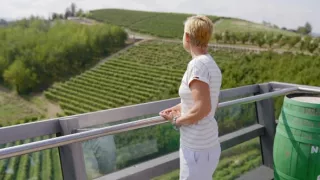 Milovníci vína (7/12)