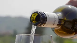 Milovníci vína (7/12)