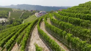 Milovníci vína (7/12)