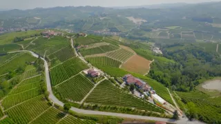 Milovníci vína (7/12)