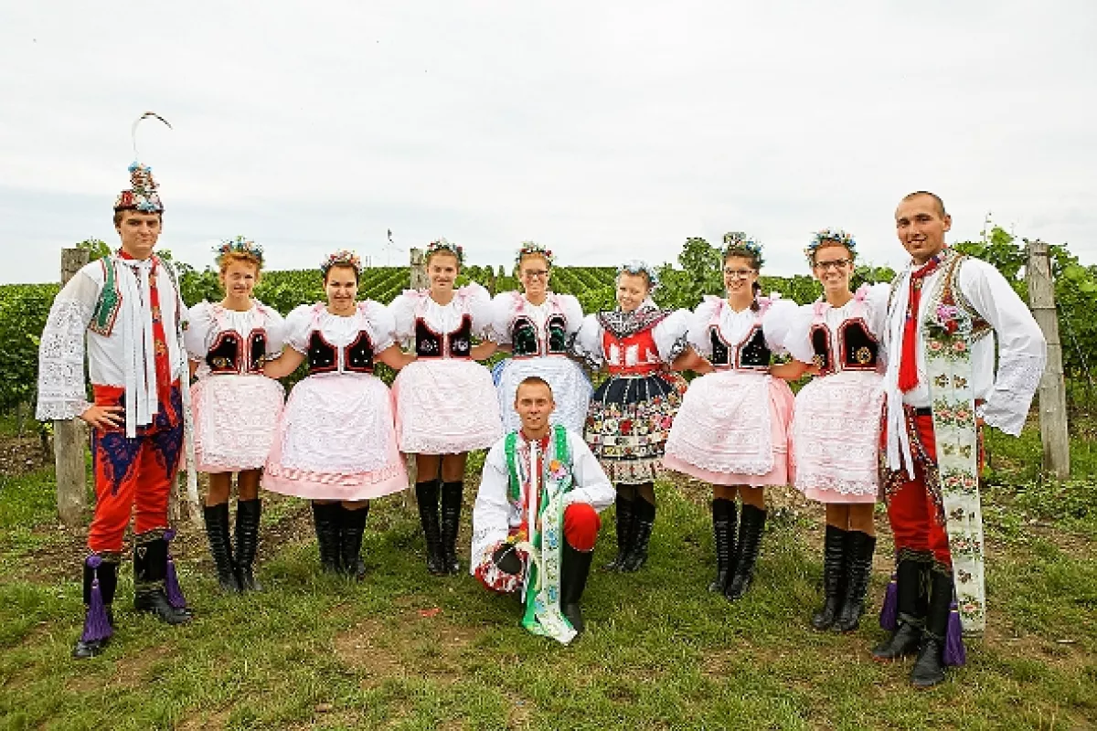 Vinaři, 2014 - fotogaléria