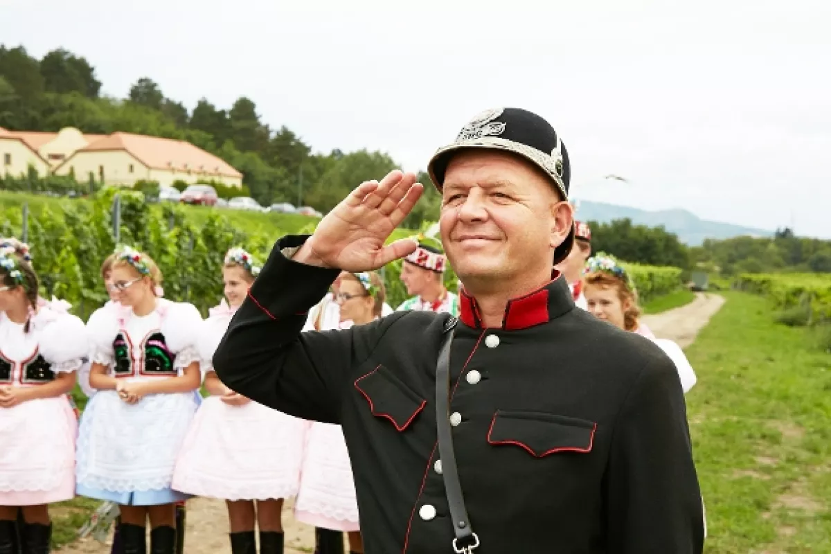 Vinaři, 2014 - fotogaléria