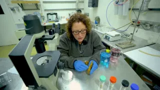 Titanic - návrat k miznúcemu legendárnemu vraku