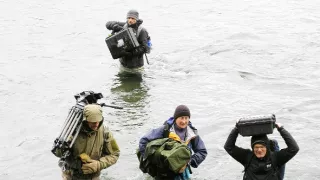 Medvědi grizzly na Aljašce (2/2)