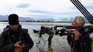 Medvědi grizzly na Aljašce (2/2)