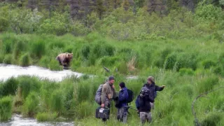 Medvědi grizzly na Aljašce (2/2)