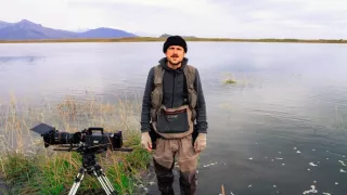Medvědi grizzly na Aljašce (2/2)