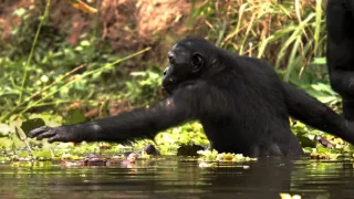 H2O: Molekula života (2/3)