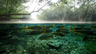 H2O: Molekula života (2/3)