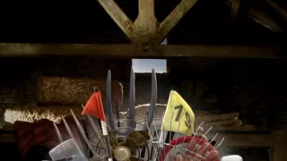 Ovečka Shaun vo filme