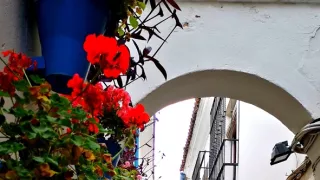 Andalúzia, kráska juhu