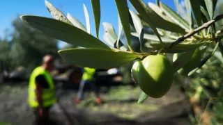 Andalúzia, kráska juhu