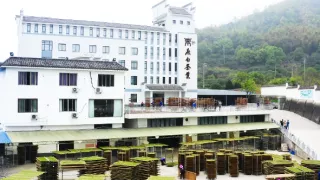 Kamera na cestách: Jedna šálka, tisíc príbehov