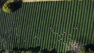 Kamera na cestách: Jedna šálka, tisíc príbehov